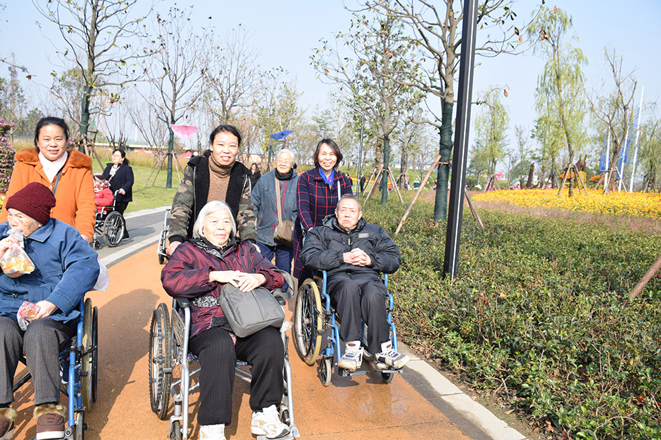 开发区能达公园赏菊